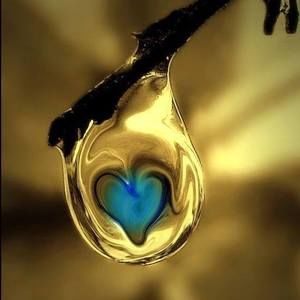 Meet your Posher, Gail